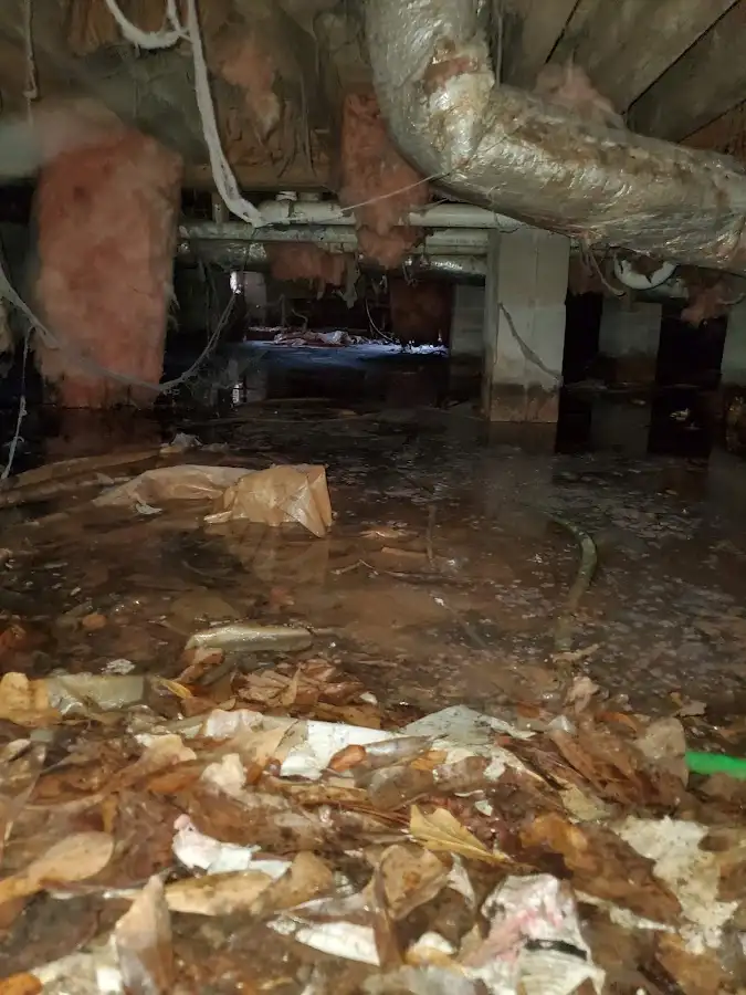 Crawl space flood assessment for Leak Detection & Repair in Marble Falls